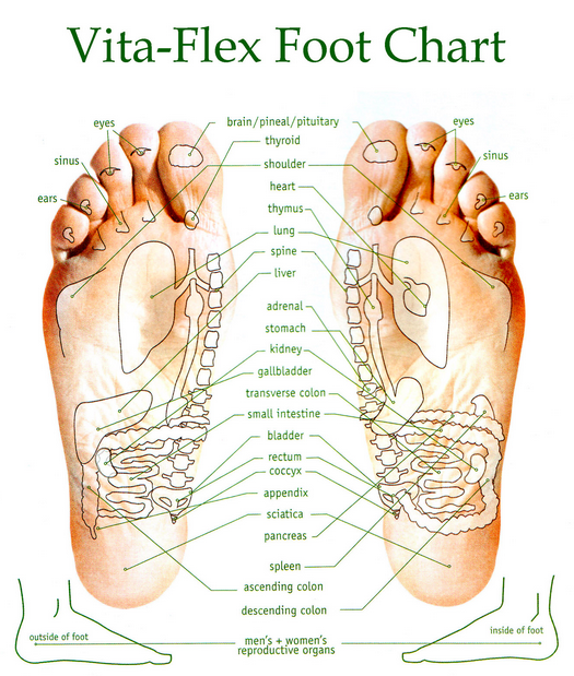 Bottom Of Your Feet Chart