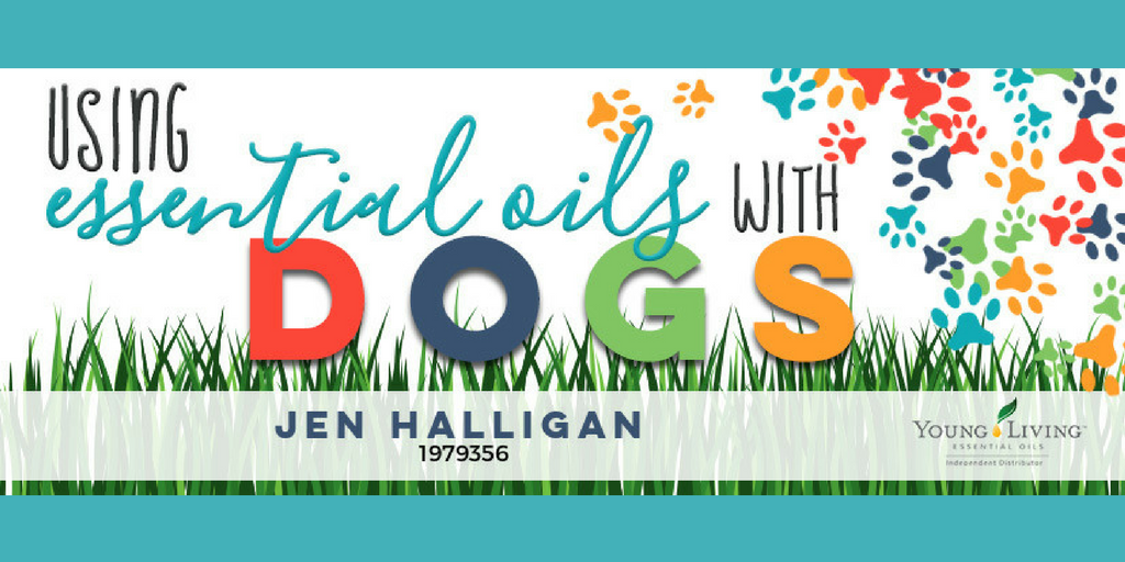 Essential Oils and Dogs | LavenderandLatte.com