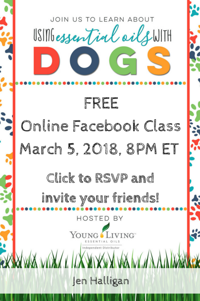 Class | Essential Oils and Dogs | LavenderandLatte.com