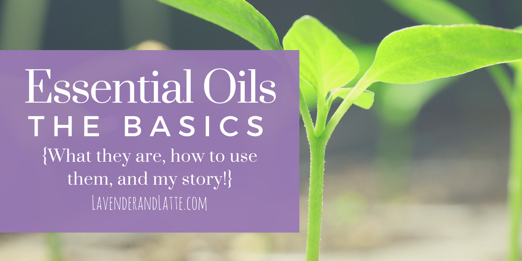 Essentials Oils: The Basics and How I Got Started | LavenderandLatte.com #howtouseessentialoils #essentialoils
